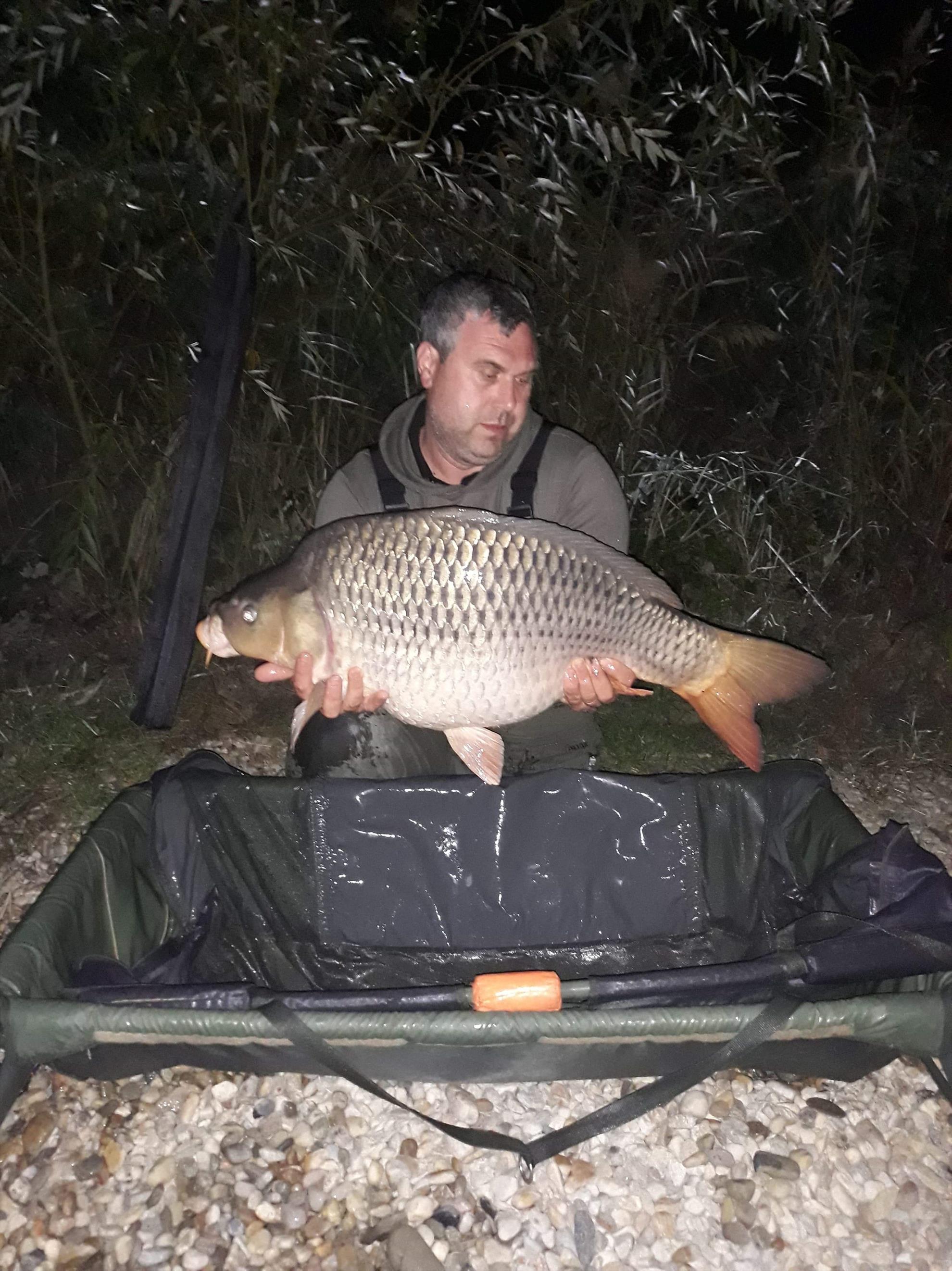 Varlaam 2018 oct - received305458500320877.jpeg